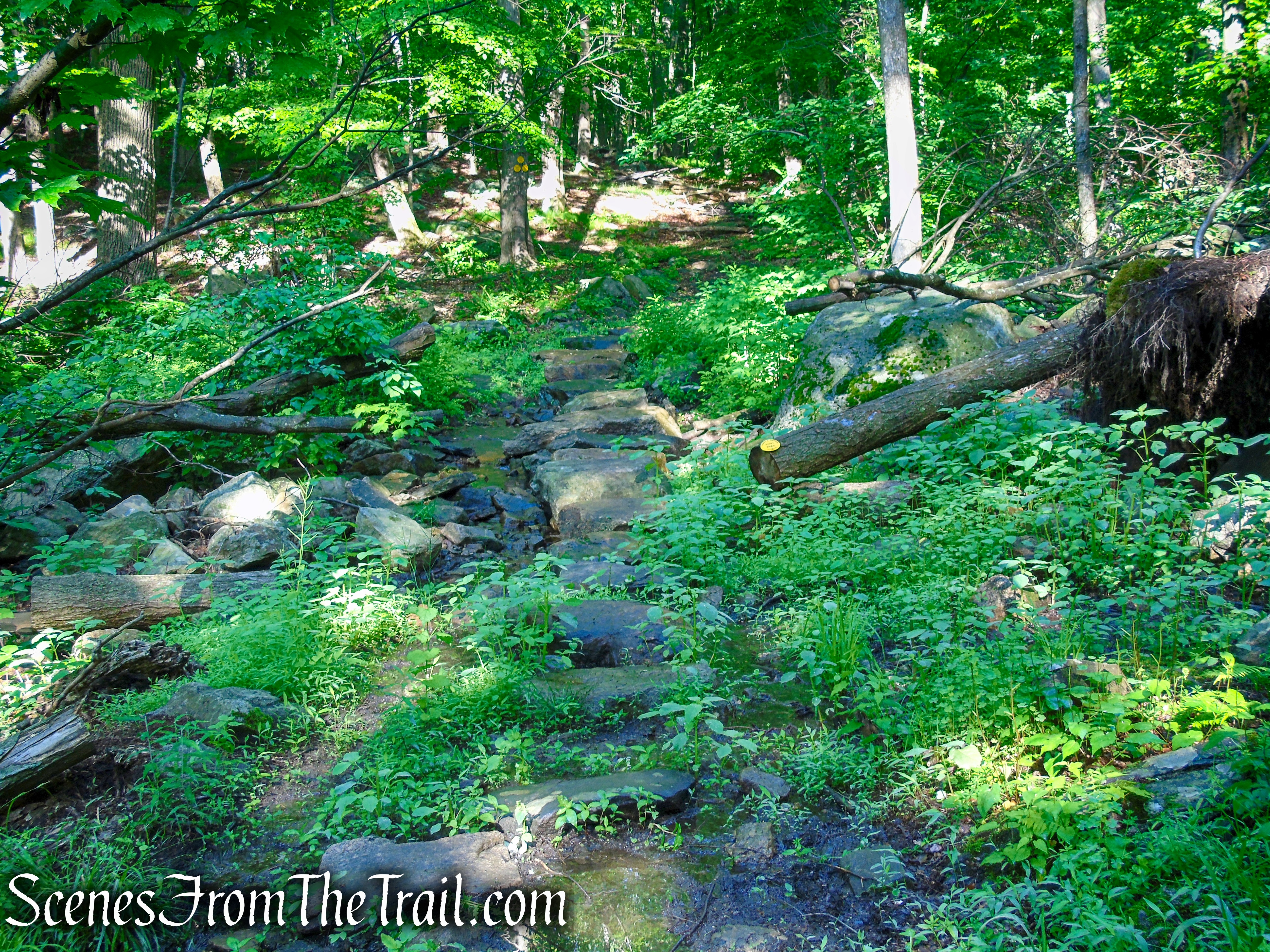 Yellow Trail - Granite Mountain Preserve