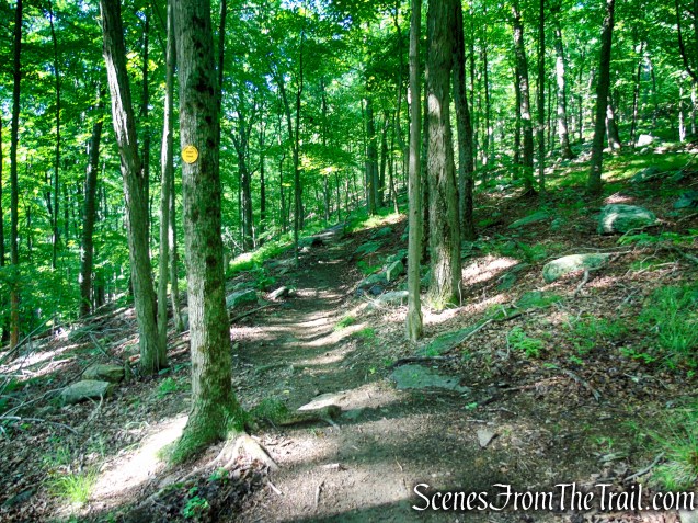 Yellow Trail - Granite Mountain Preserve