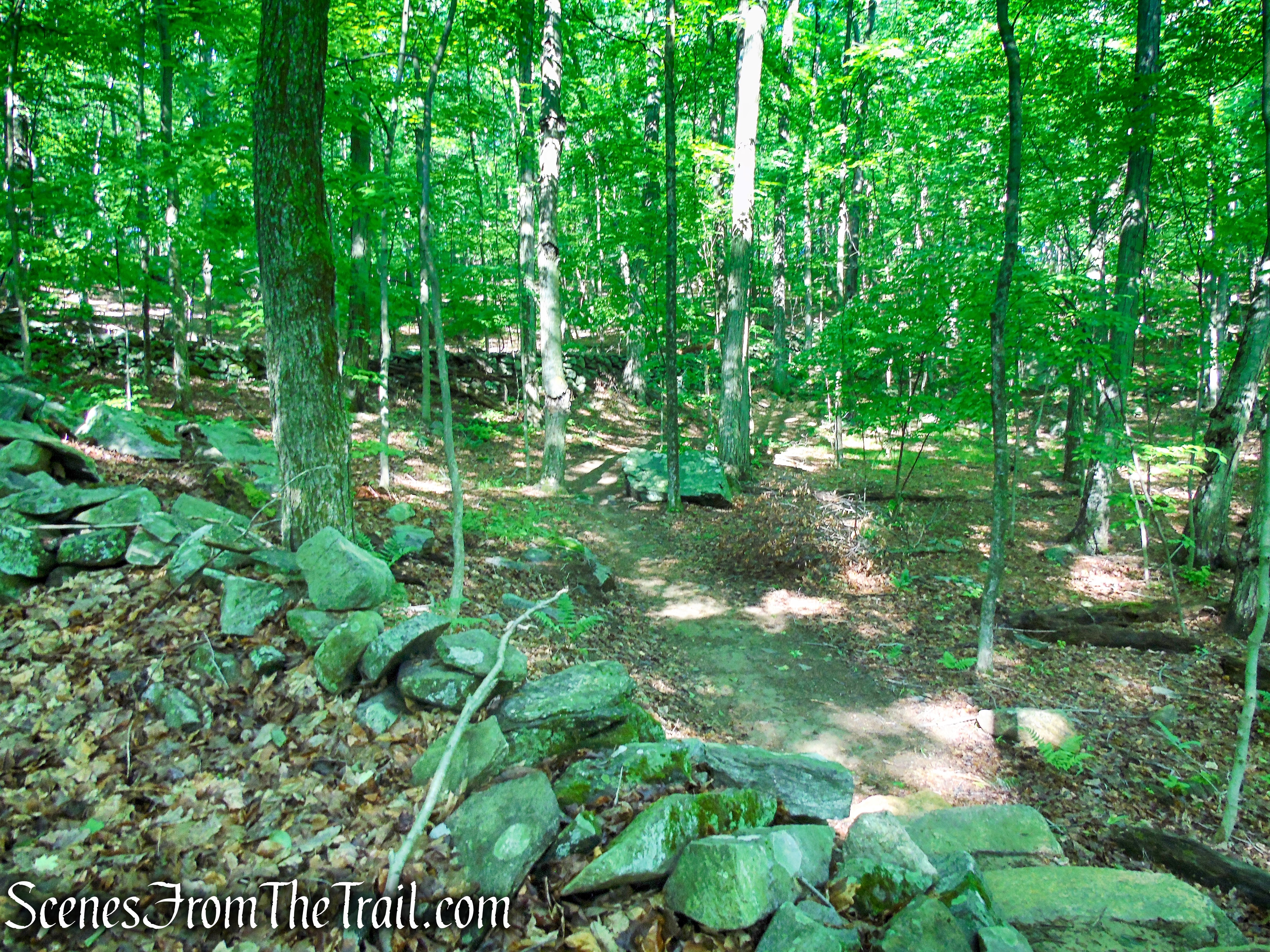 Yellow Trail - Granite Mountain Preserve
