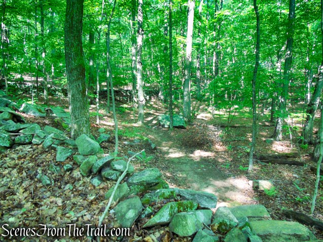 Yellow Trail - Granite Mountain Preserve