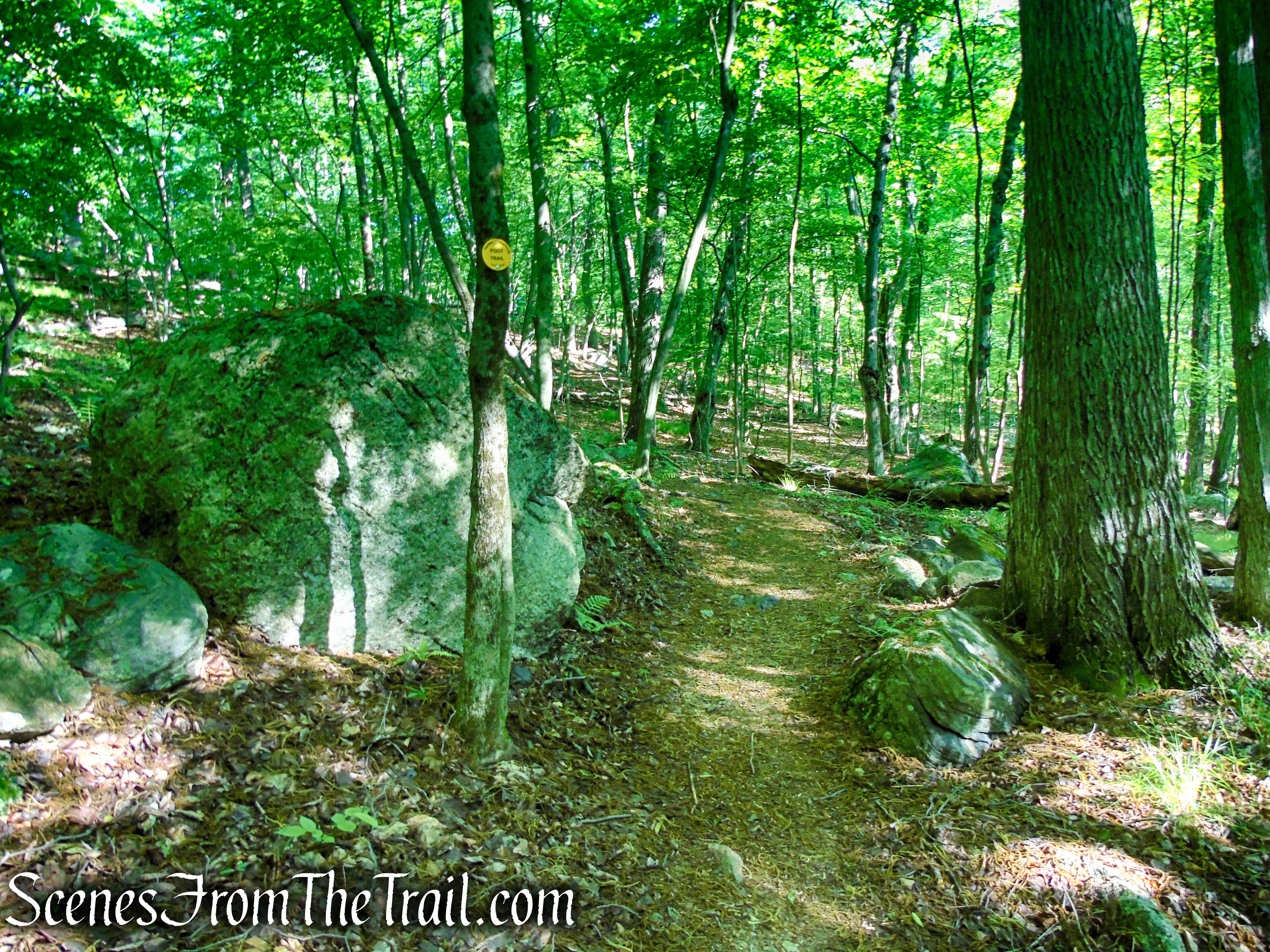 Yellow Trail - Granite Mountain Preserve