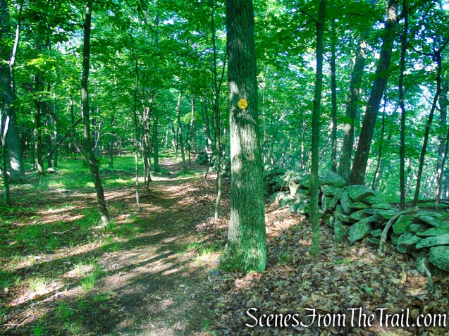 Yellow Trail - Granite Mountain Preserve