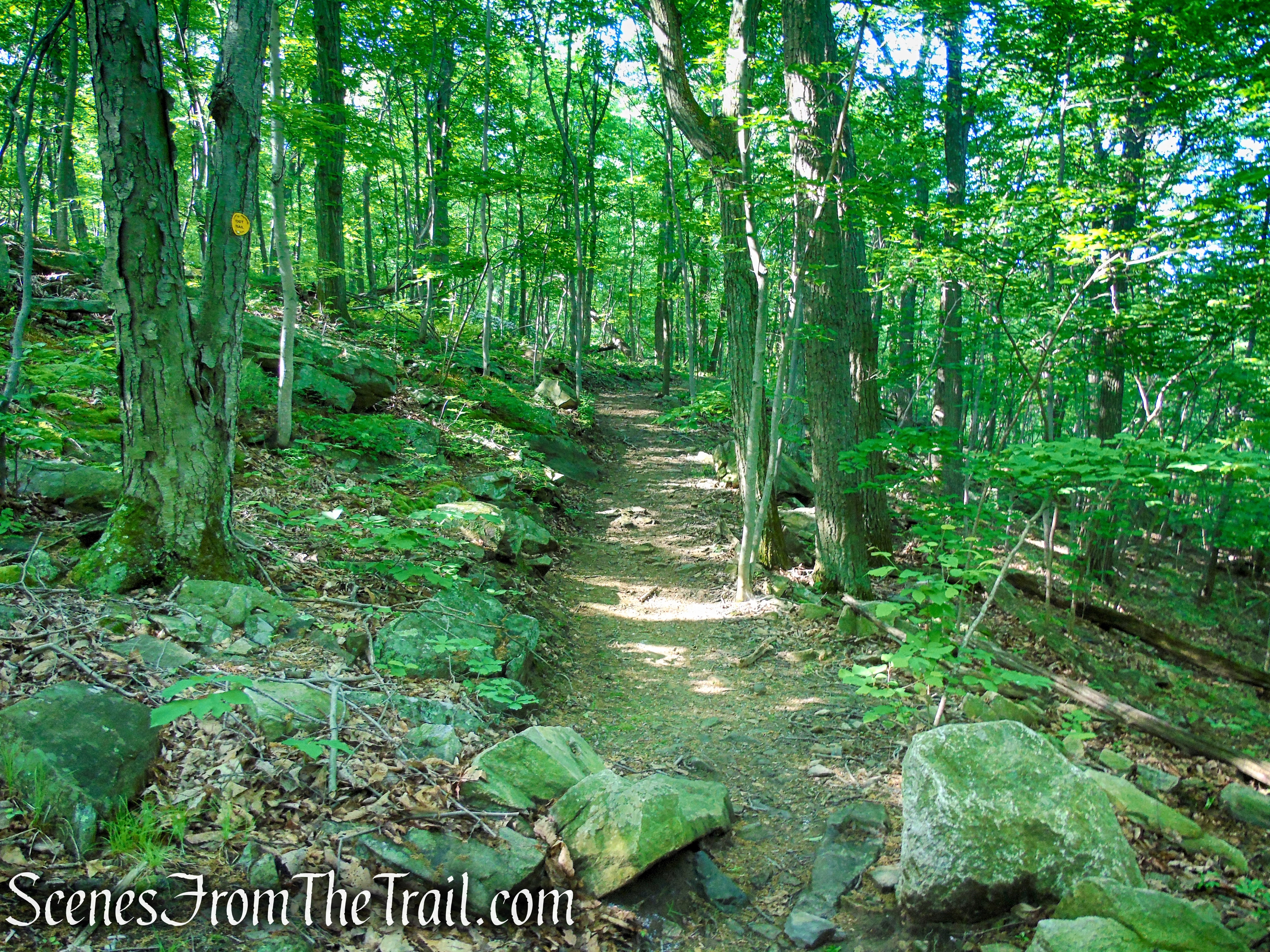 Yellow Trail - Granite Mountain Preserve