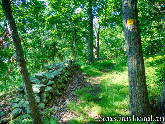 Yellow Trail - Granite Mountain Preserve