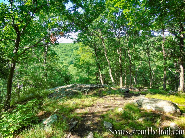 Lookout Rock - Granite Mountain Preserve