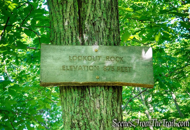 Lookout Rock - Granite Mountain Preserve