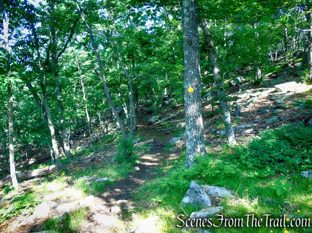Yellow Trail - Granite Mountain Preserve