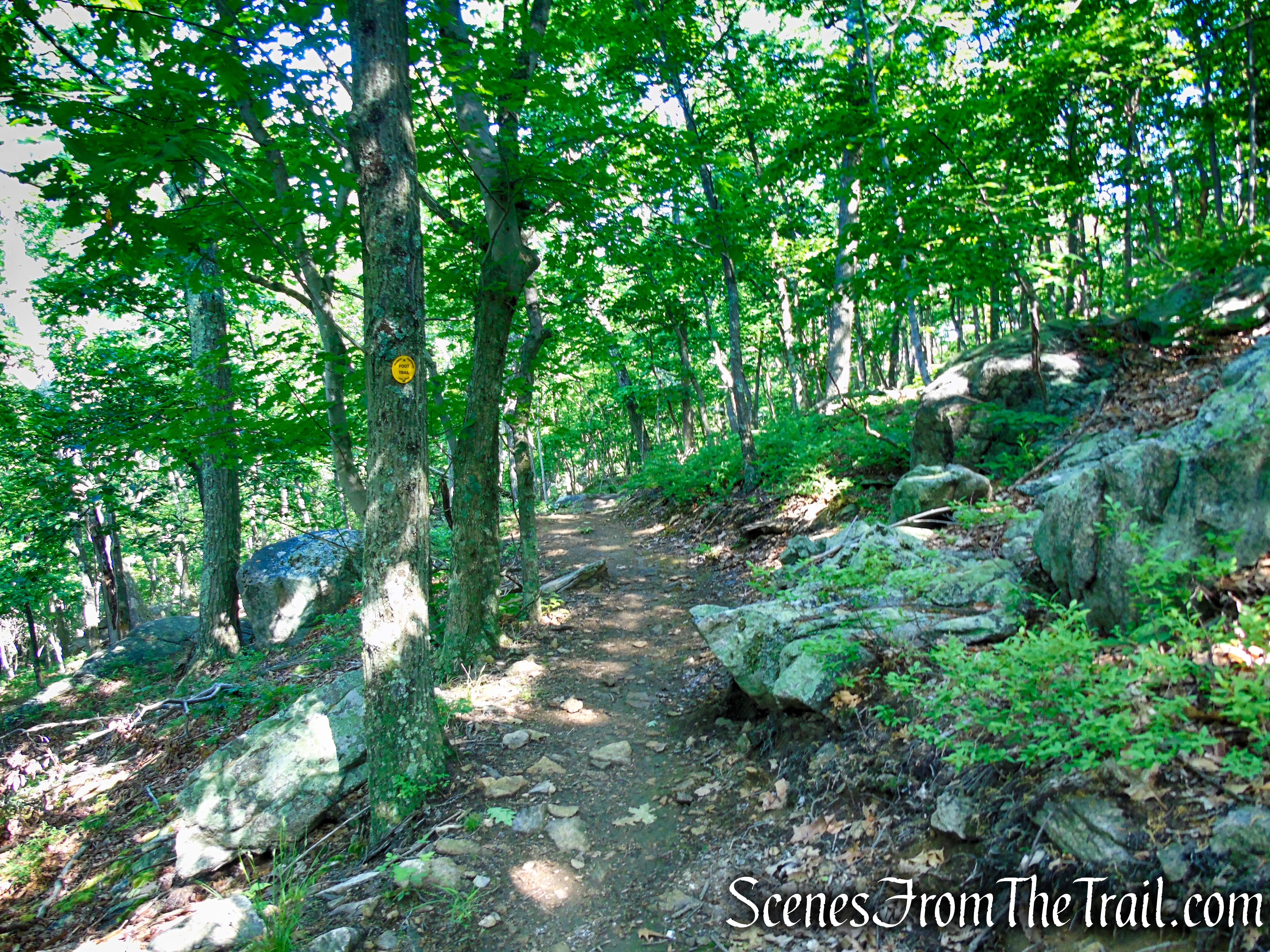 Yellow Trail - Granite Mountain Preserve