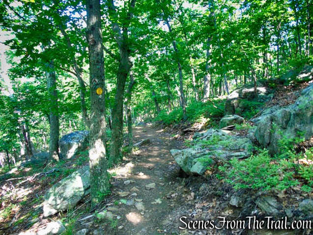Yellow Trail - Granite Mountain Preserve