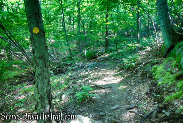 Yellow Trail - Granite Mountain Preserve