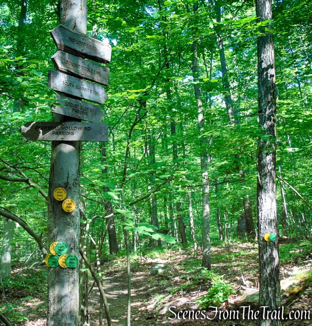 Turn left to remain on Yellow Trail