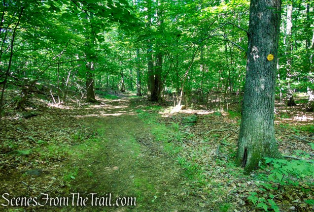 Yellow Trail - Granite Mountain Preserve