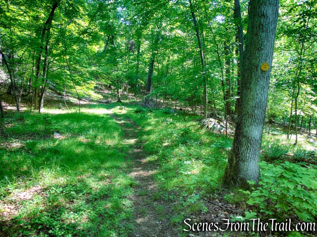 Yellow Trail - Granite Mountain Preserve