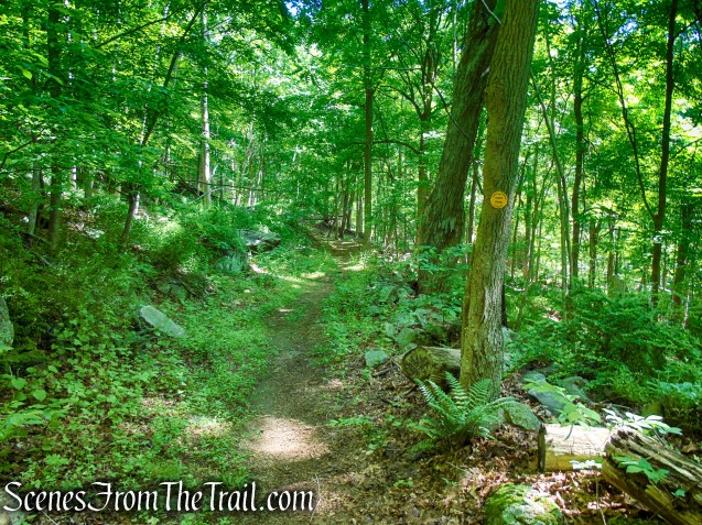 Yellow Trail - Granite Mountain Preserve