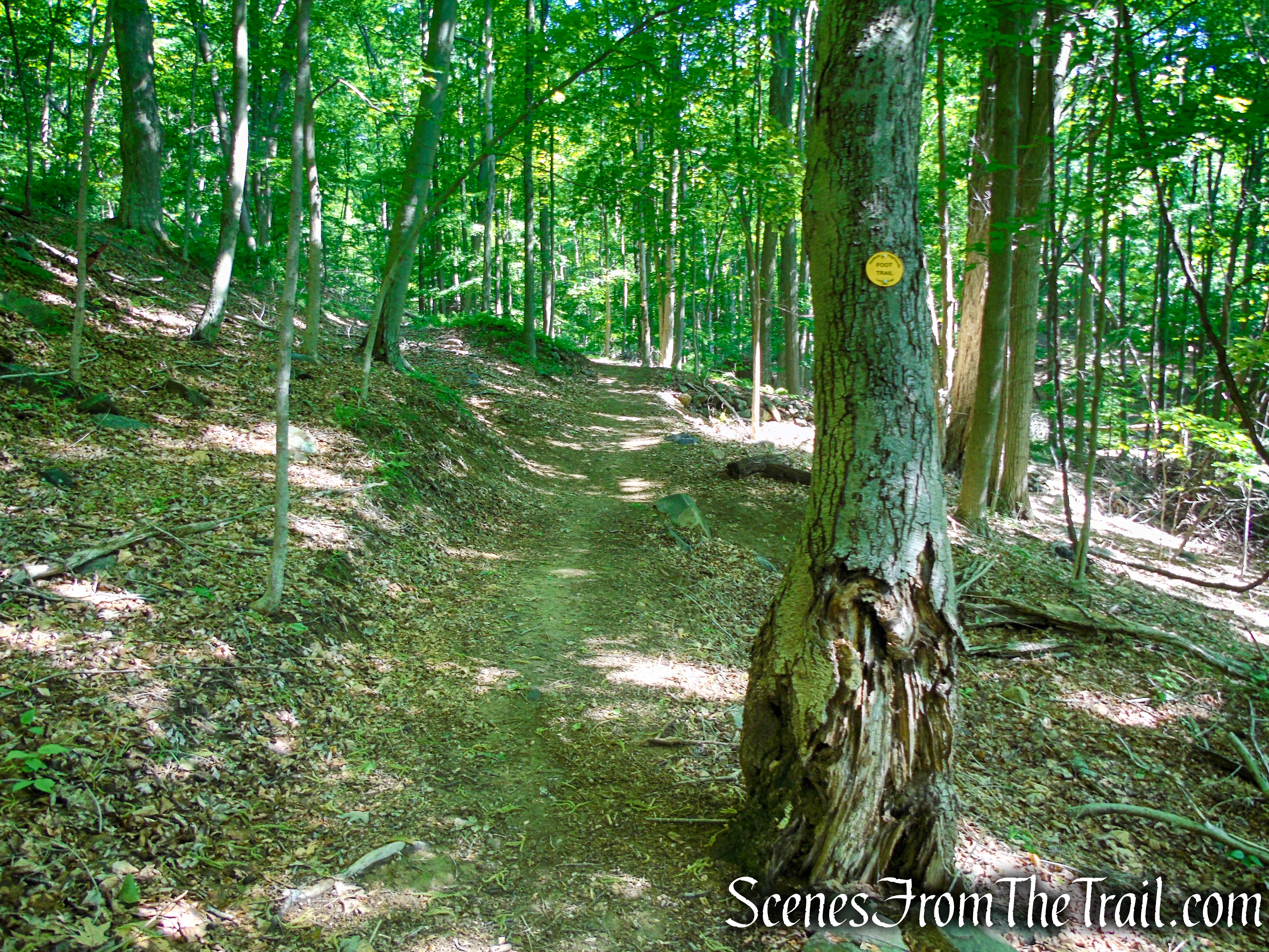 Yellow Trail - Granite Mountain Preserve