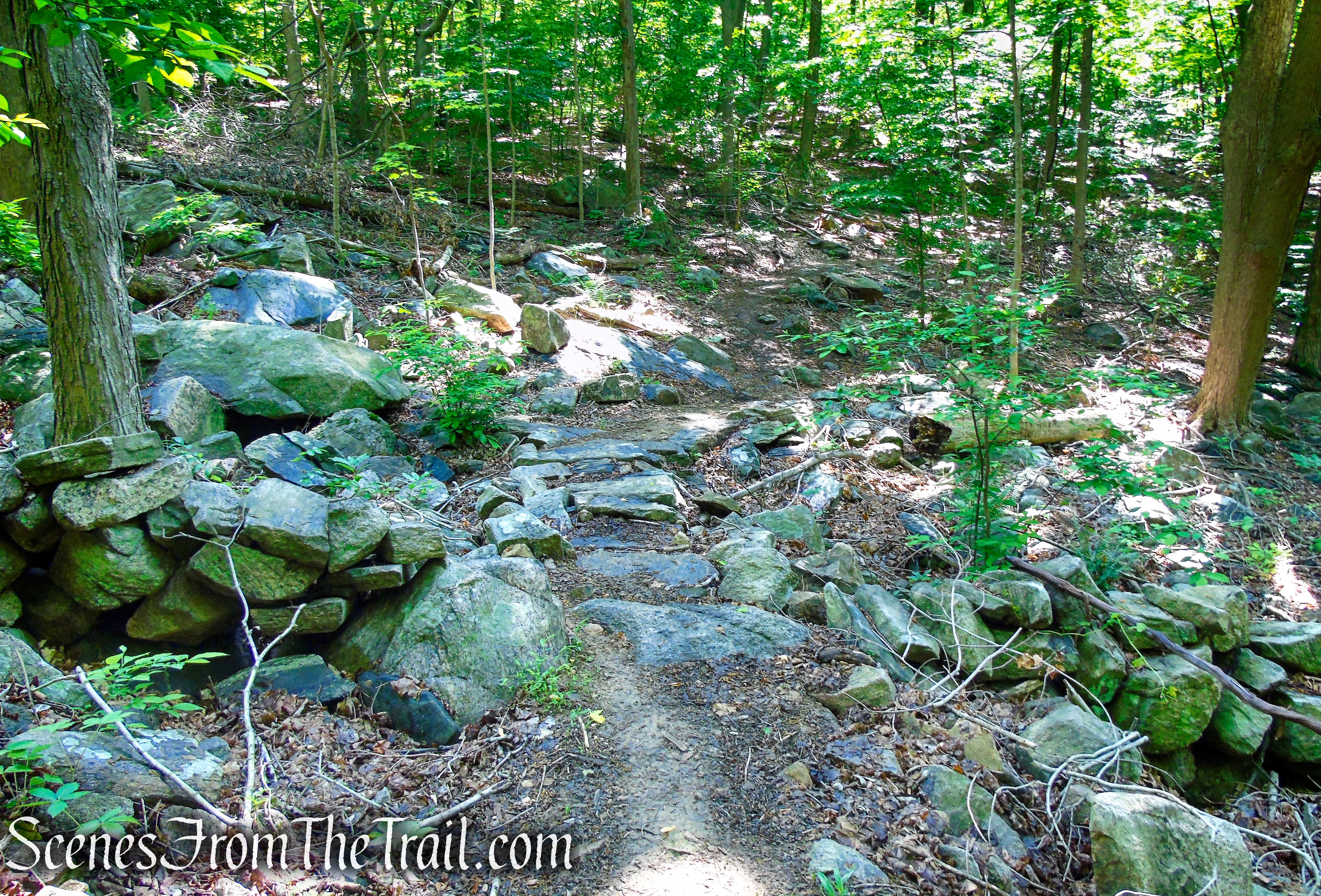 Yellow Trail - Granite Mountain Preserve