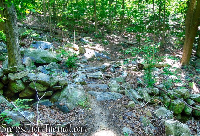 Yellow Trail - Granite Mountain Preserve
