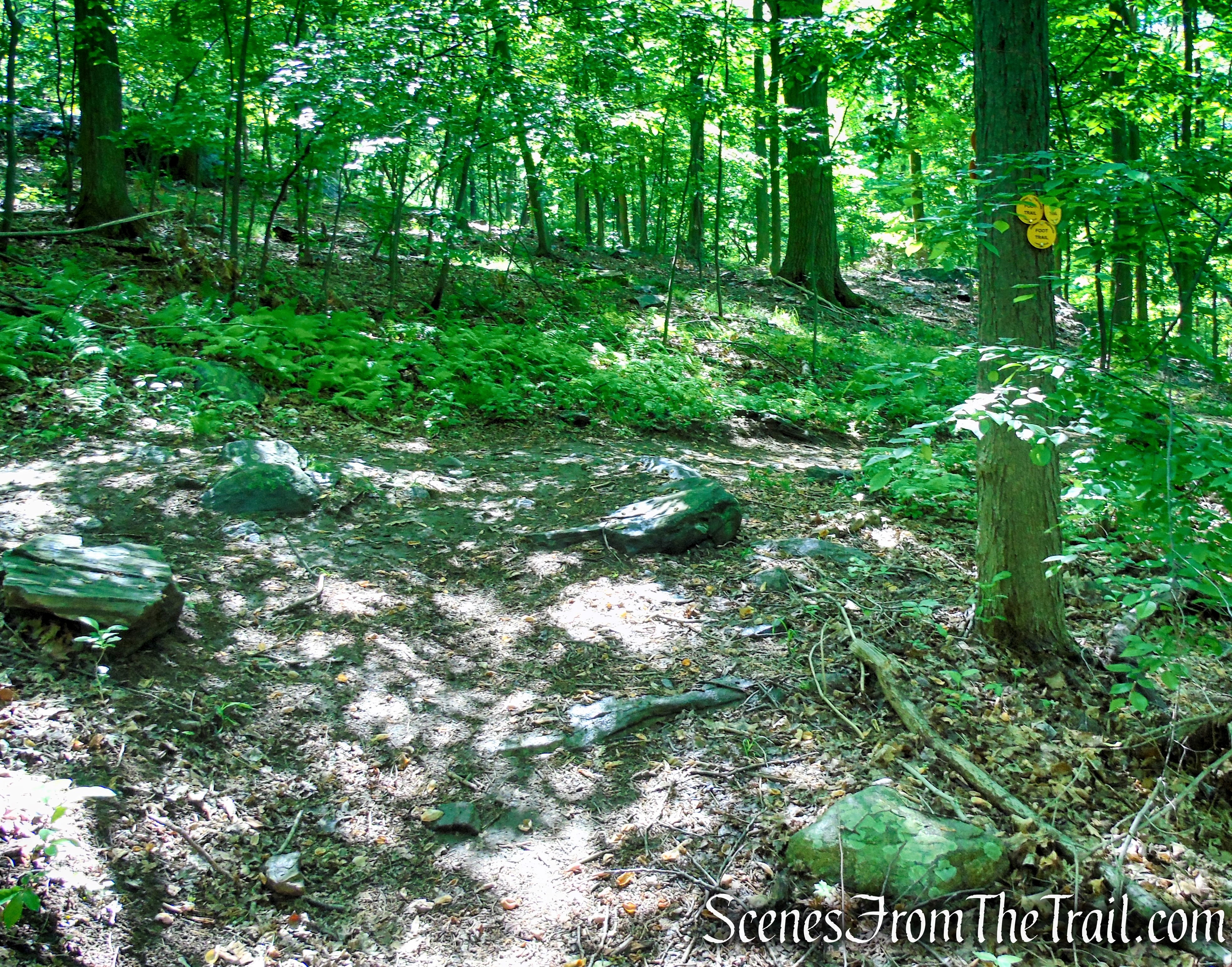 Terminus of Yellow Trail - Granite Mountain Preserve