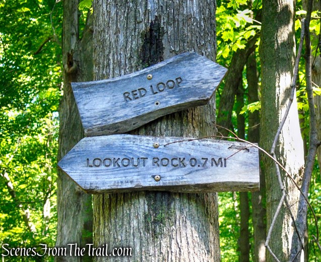 Turn right towards Red Loop