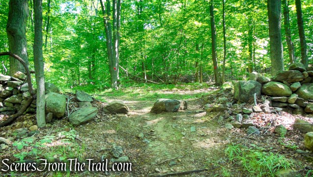 After passing through the stone wall, turn right on the Red Trail