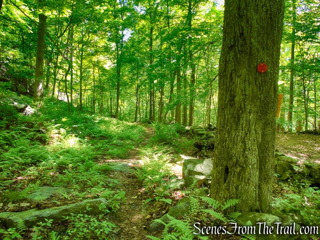 Red Trail - Granite Mountain Preserve