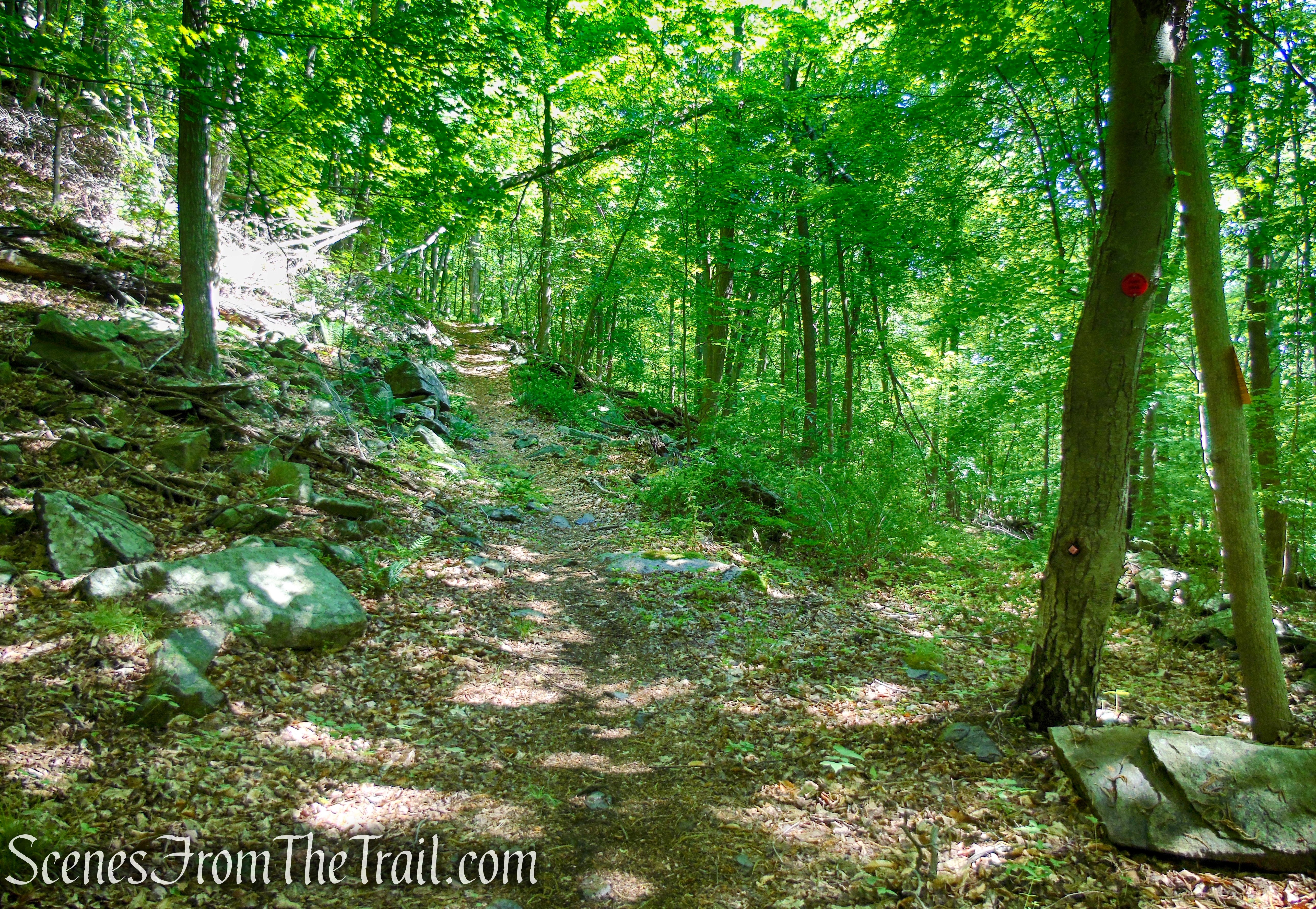 Red Trail - Granite Mountain Preserve