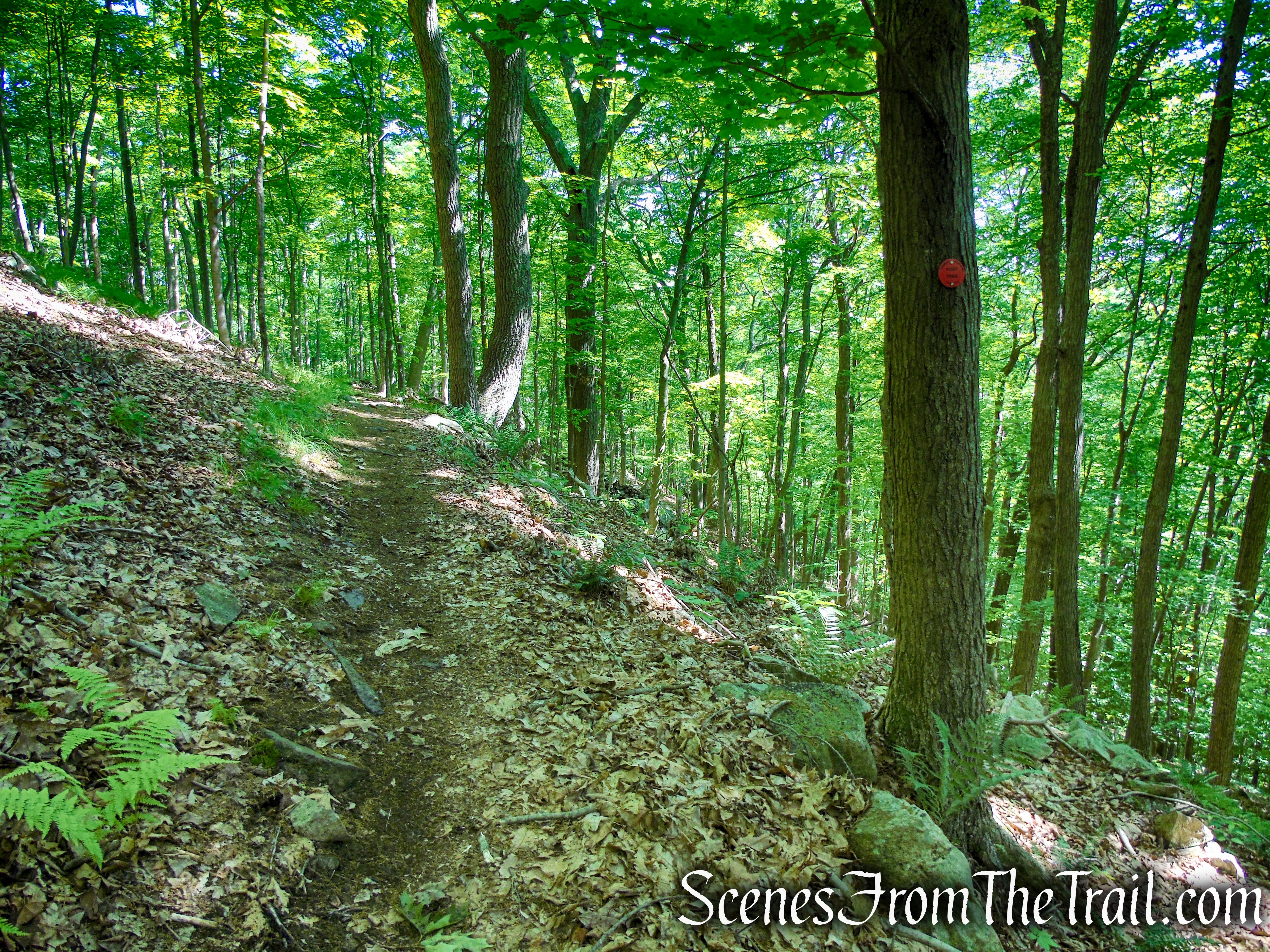 Red Trail - Granite Mountain Preserve