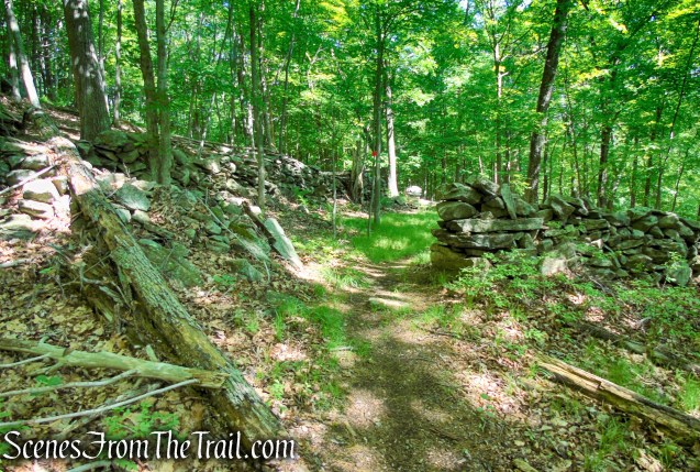 Red Trail - Granite Mountain Preserve
