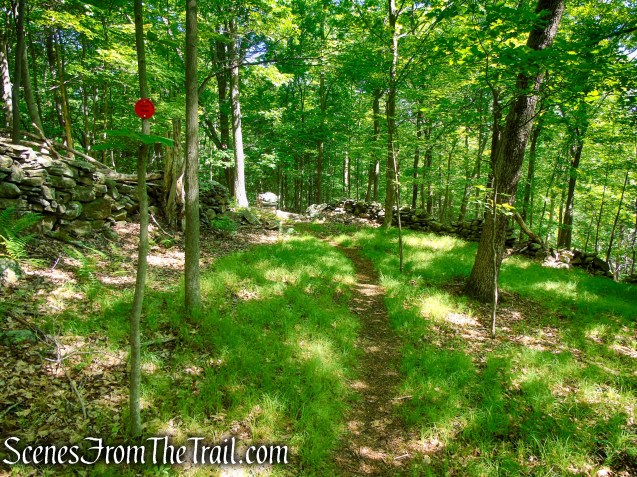 Red Trail - Granite Mountain Preserve