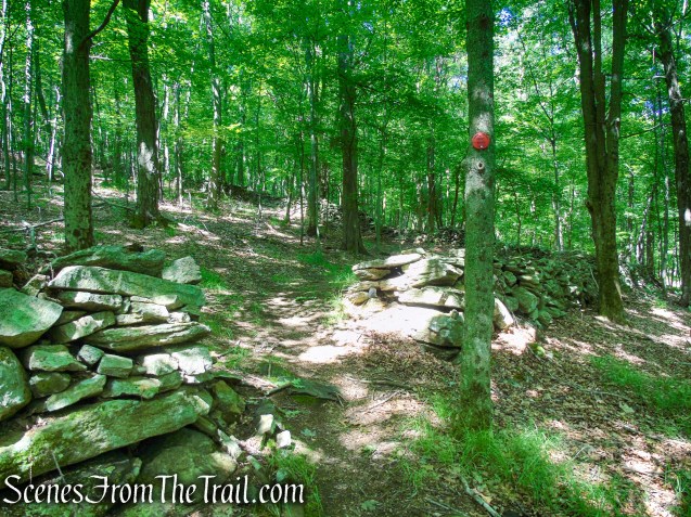 Red Trail - Granite Mountain Preserve