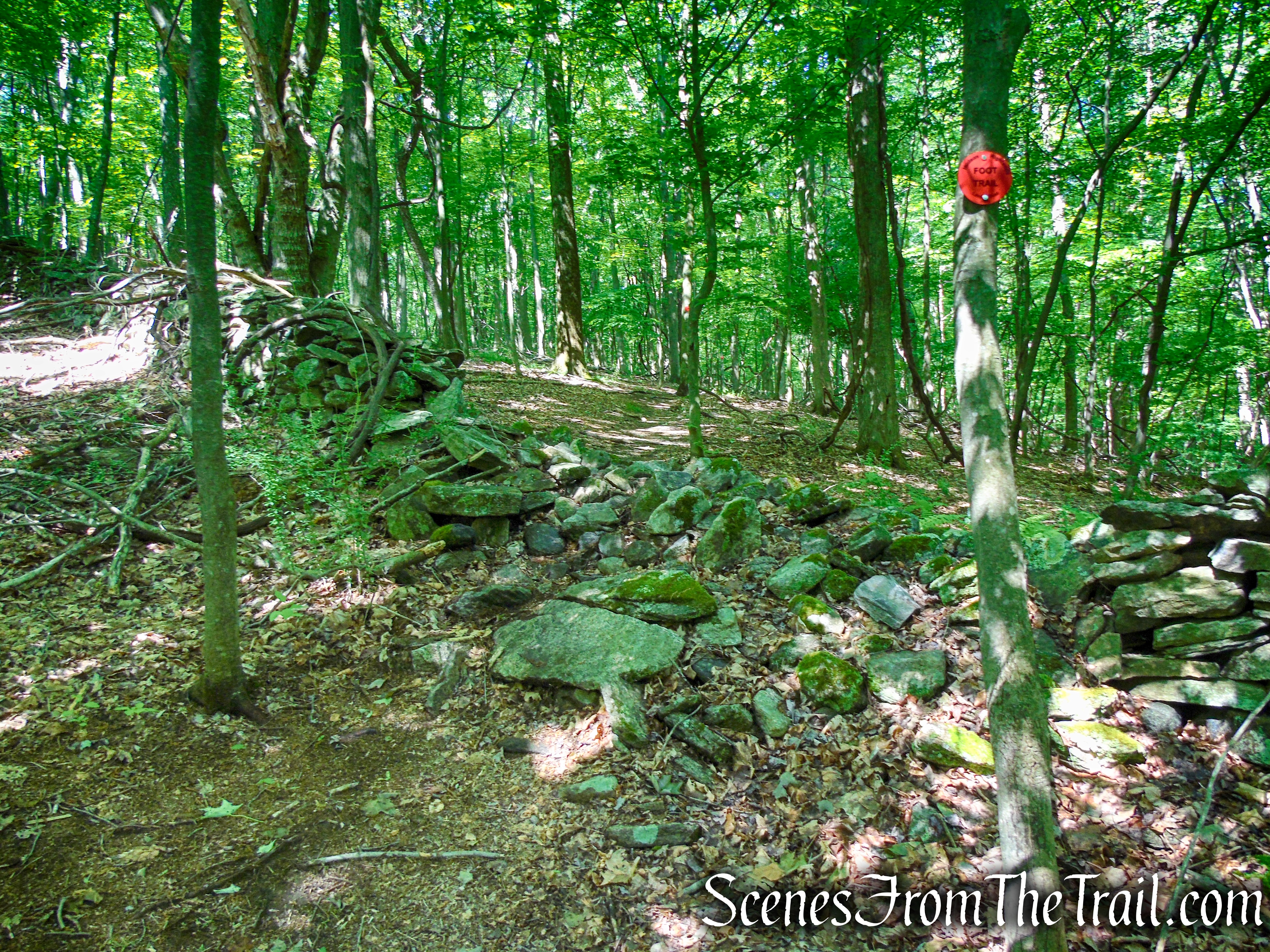 Red Trail - Granite Mountain Preserve