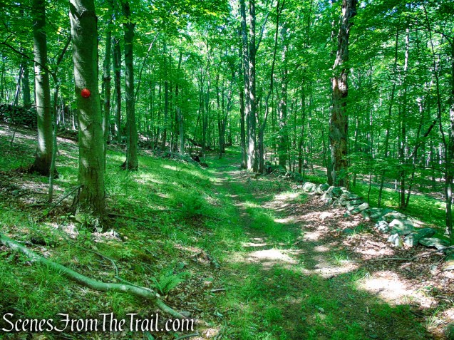 Red Trail - Granite Mountain Preserve