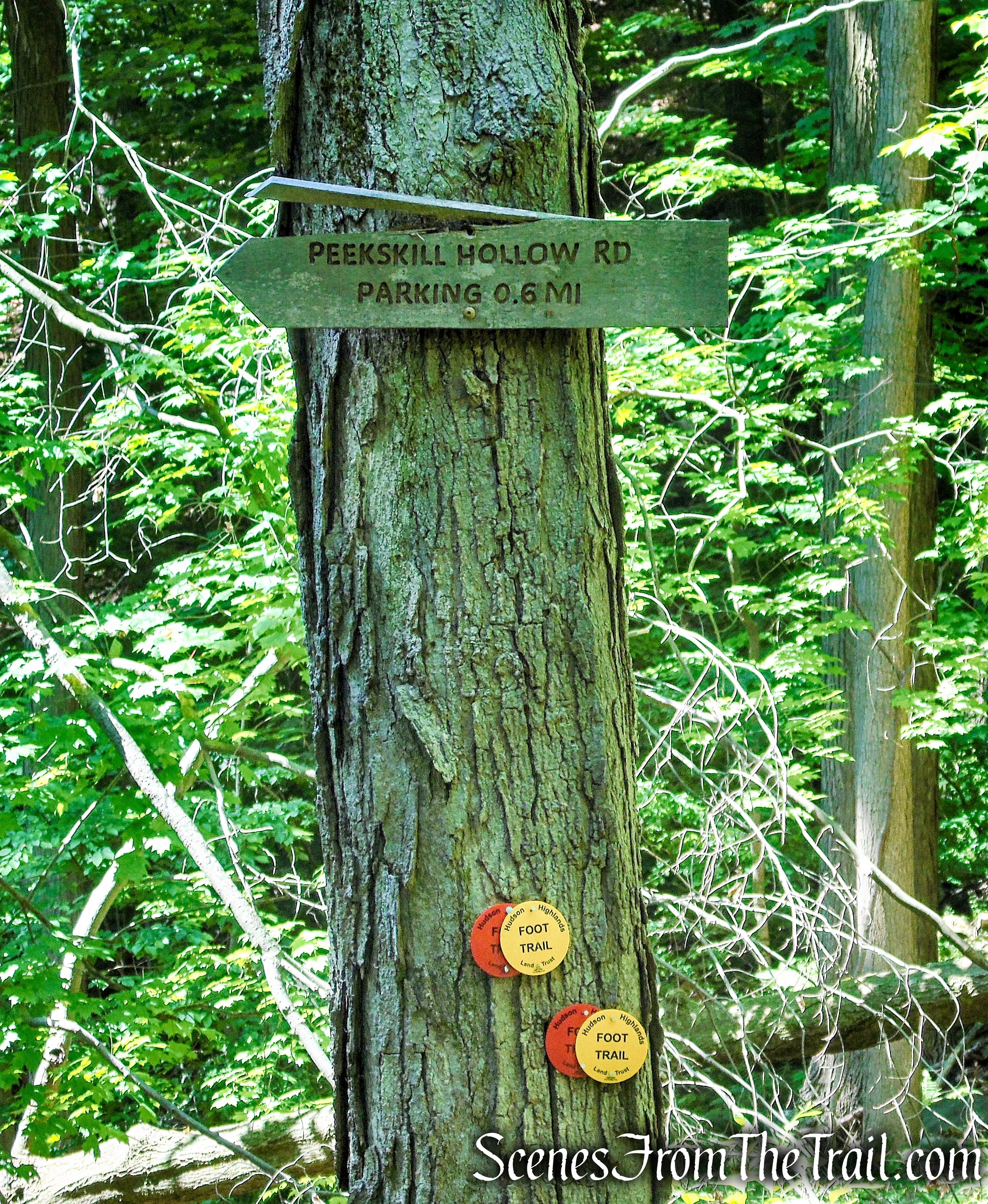 Turn left to remain on Red-Yellow Trail