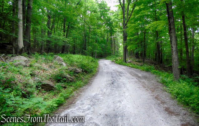 Sunken Mine Road