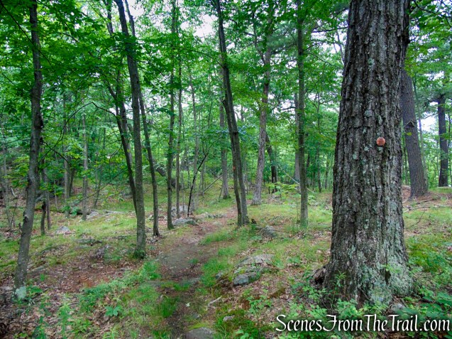 Candlewood Hill Trail – Fahnestock State Park