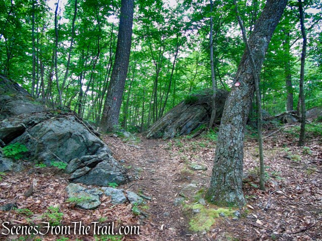Candlewood Hill Trail – Fahnestock State Park