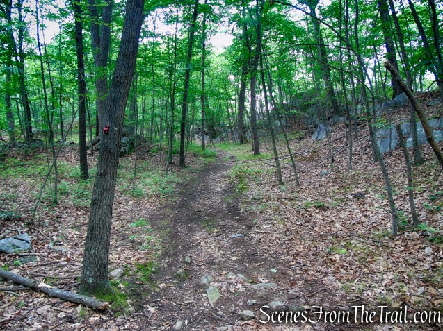 Candlewood Hill Trail – Fahnestock State Park