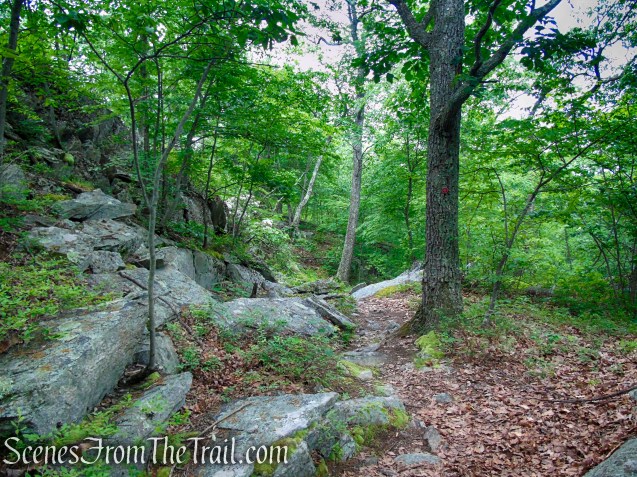 Candlewood Hill Trail – Fahnestock State Park