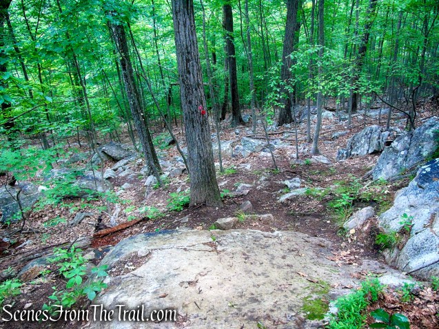Candlewood Hill Trail – Fahnestock State Park