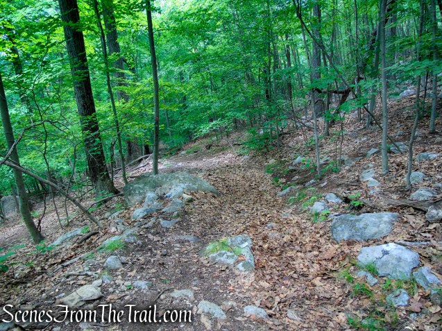 Candlewood Hill Trail – Fahnestock State Park