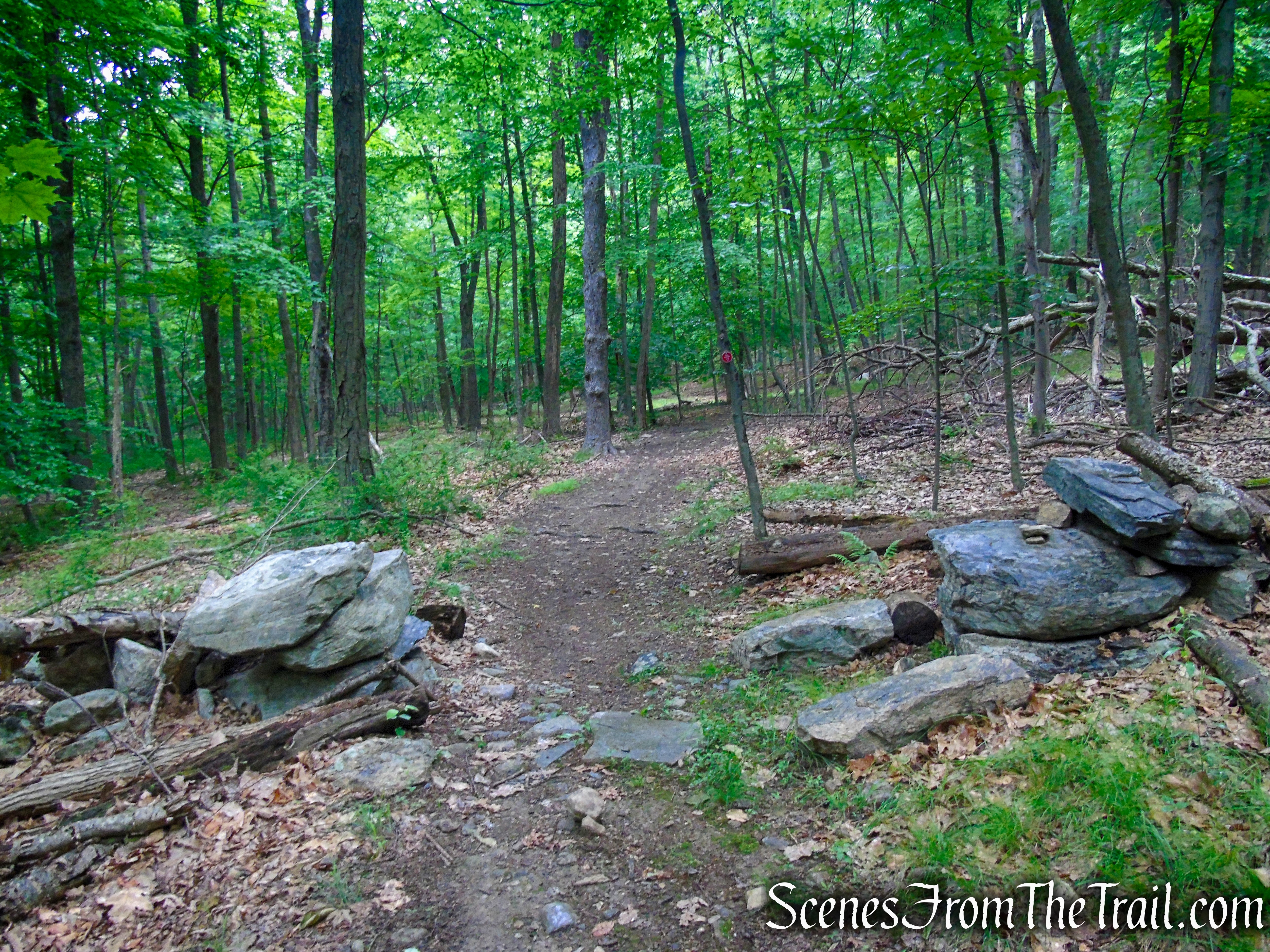 Candlewood Hill Trail – Fahnestock State Park