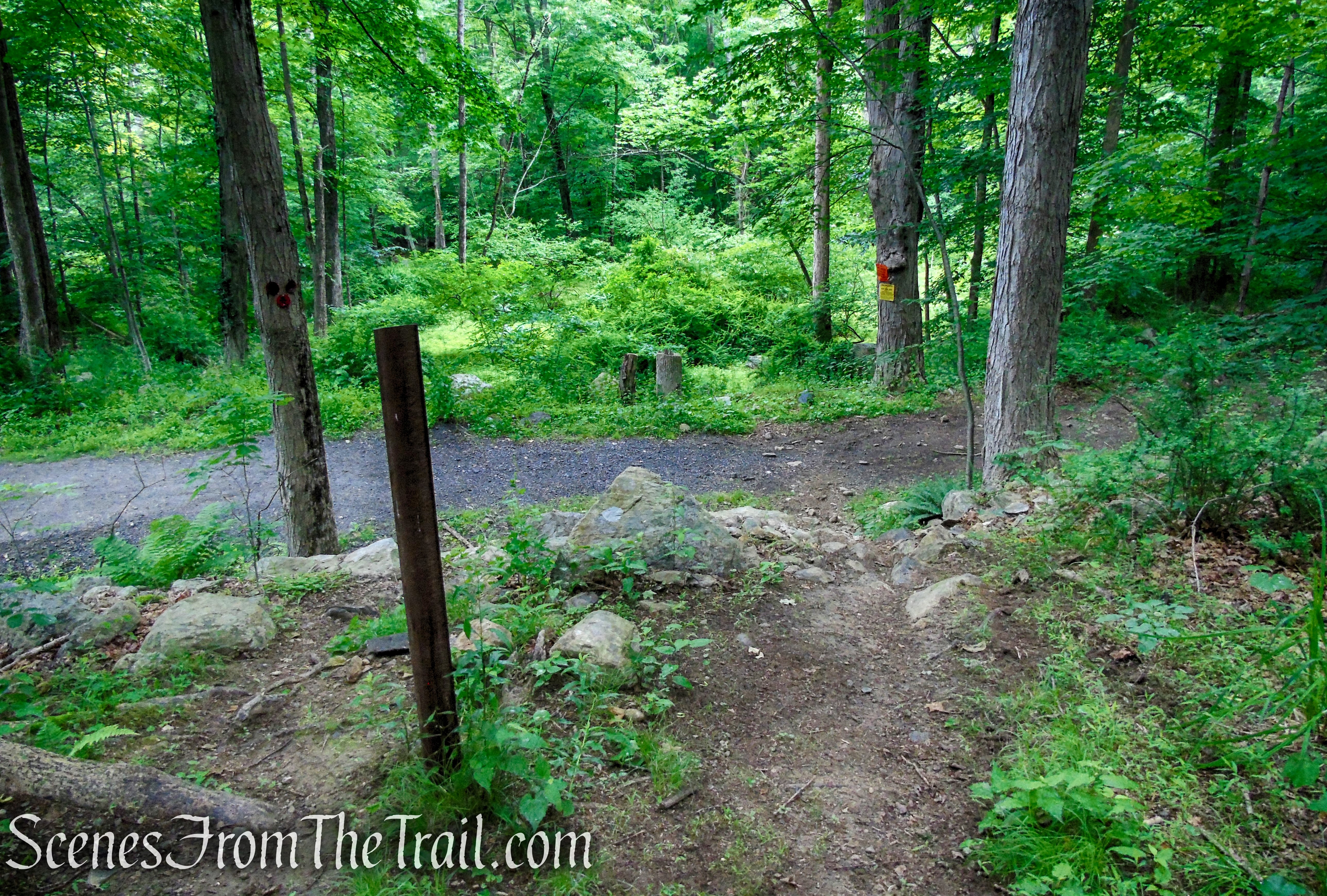 Candlewood Hill Trail – Fahnestock State Park