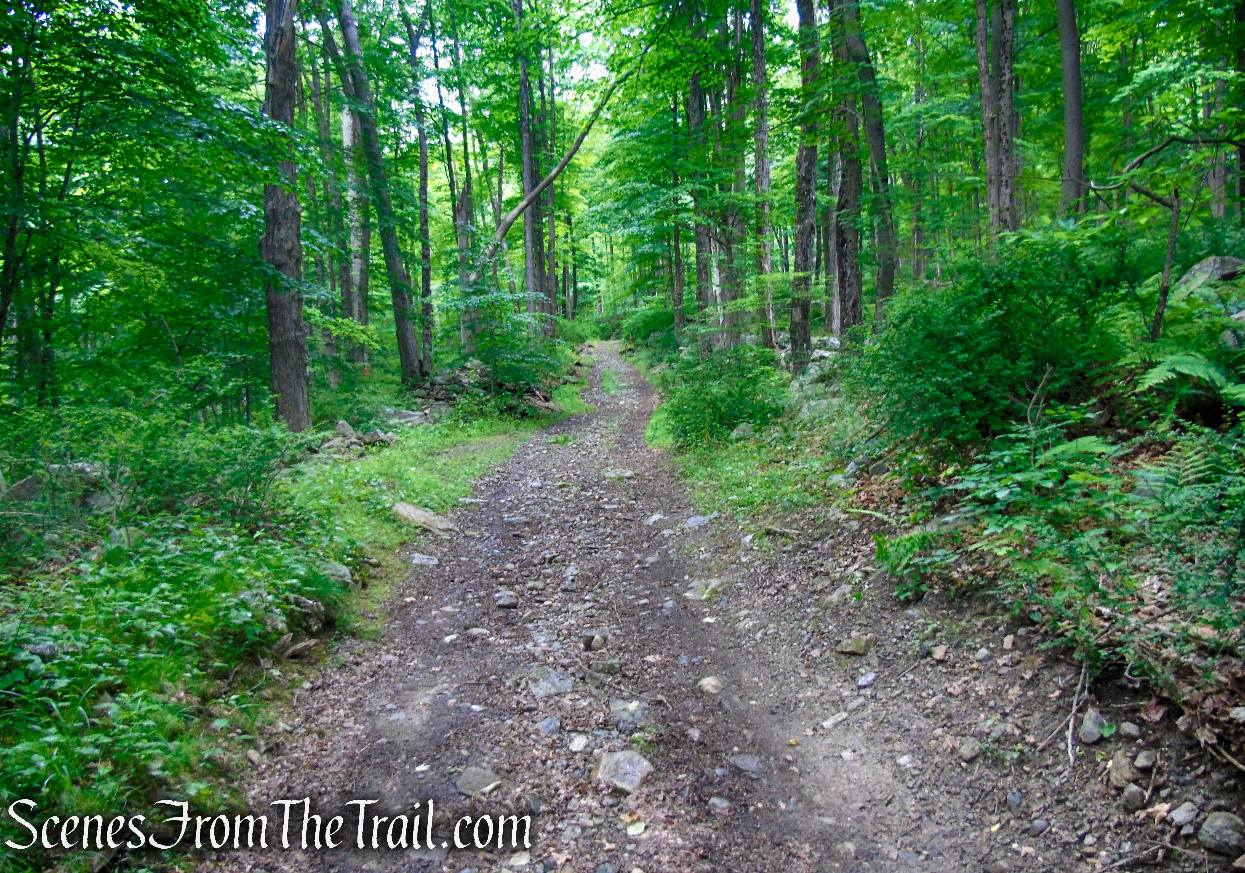 Bell Hollow Road – Fahnestock State Park