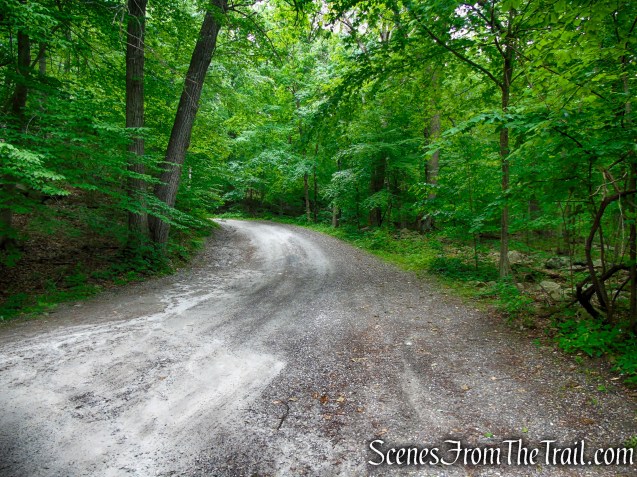 Sunken Mine Road - Fahnestock State Park