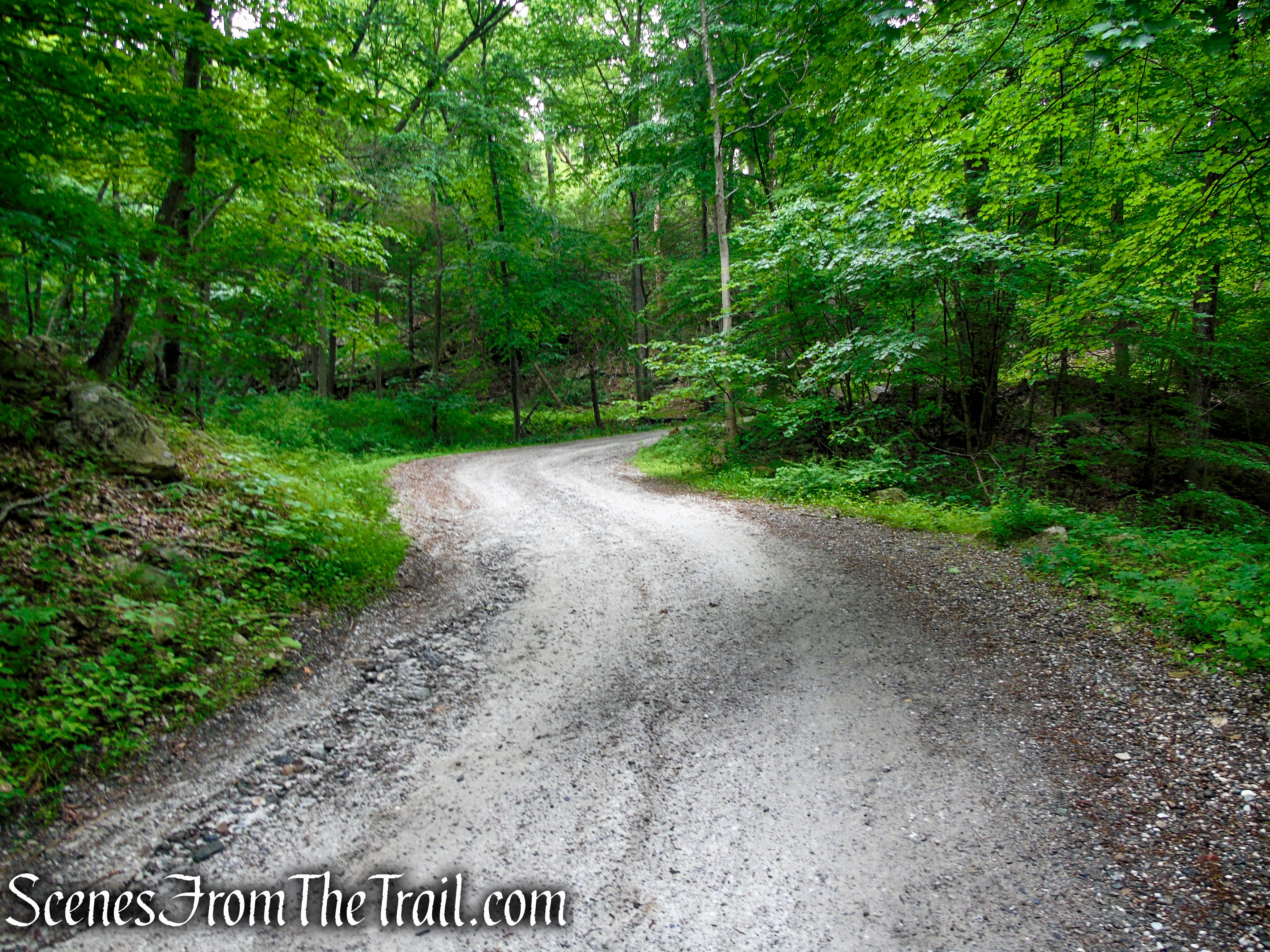 Sunken Mine Road - Fahnestock State Park