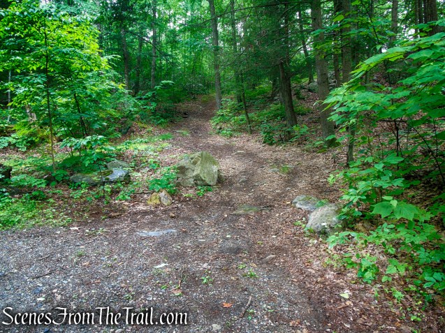 Sunken Mine Road - Fahnestock State Park