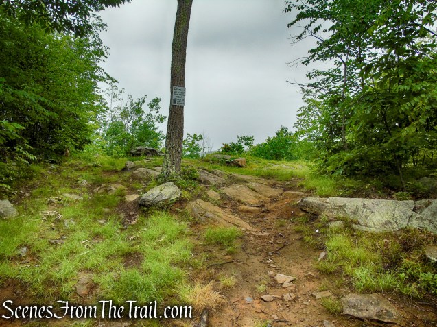 Viewpoint off of Sunken Mine Road