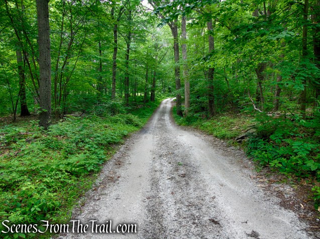 Sunken Mine Road - Fahnestock State Park