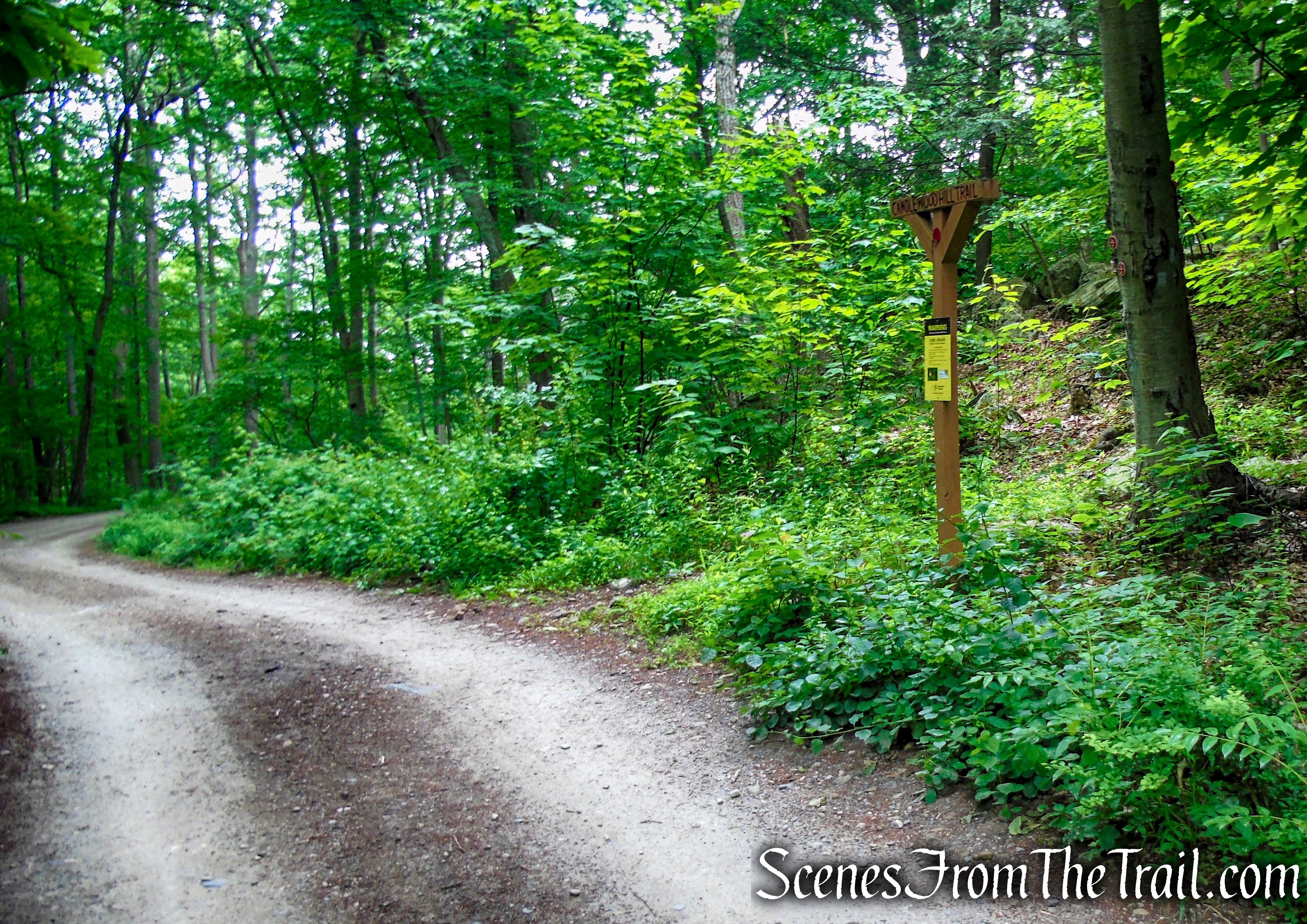 Sunken Mine Road - Fahnestock State Park
