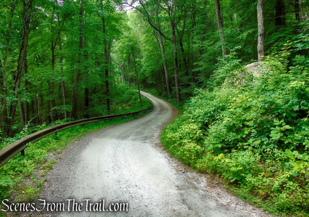 Sunken Mine Road - Fahnestock State Park